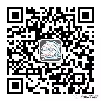 篮球周期训练计划内容有哪些_0